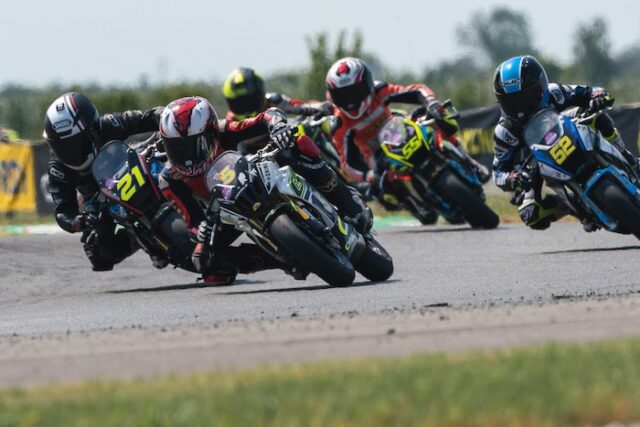 varano varano