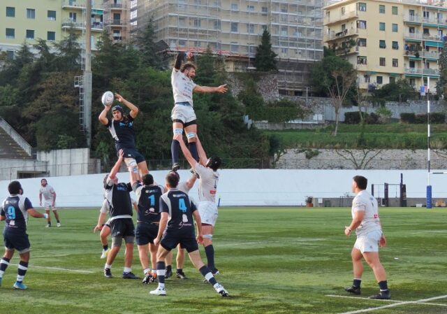 rugby rugby