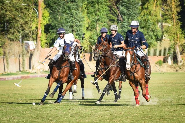 polo polo