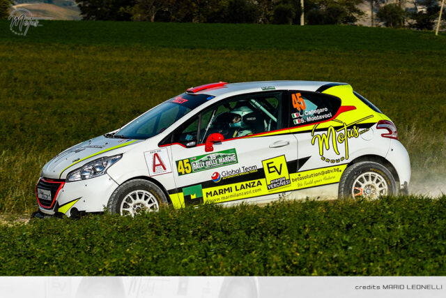 motusgroup_07_2