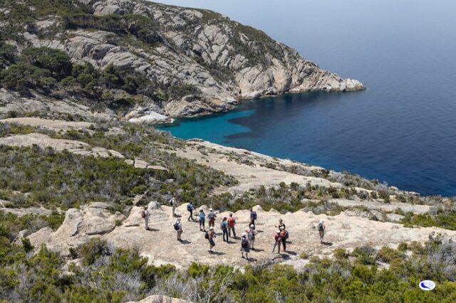 Isola di Montecristo Isola di Montecristo