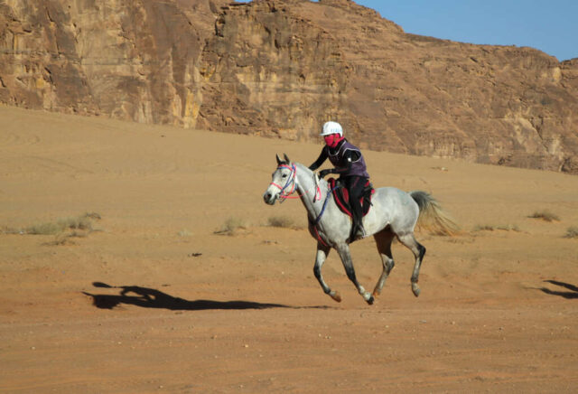 Alula_E78I1858-costanza-laliscia-22