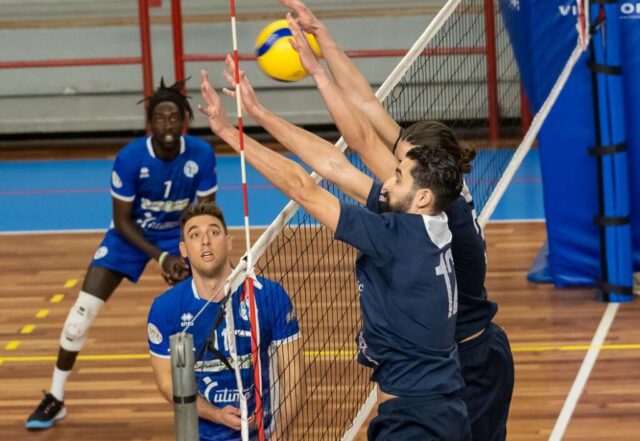 NPSG TRADING LOGISTIC PALLAVOLO NOVI