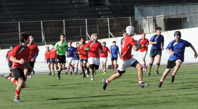 rugby rugby