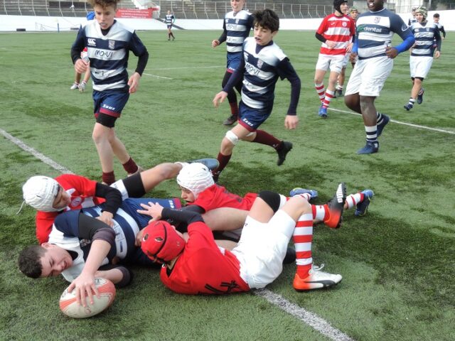 rugby rugby