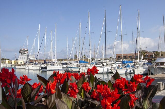 Yacht & Garden