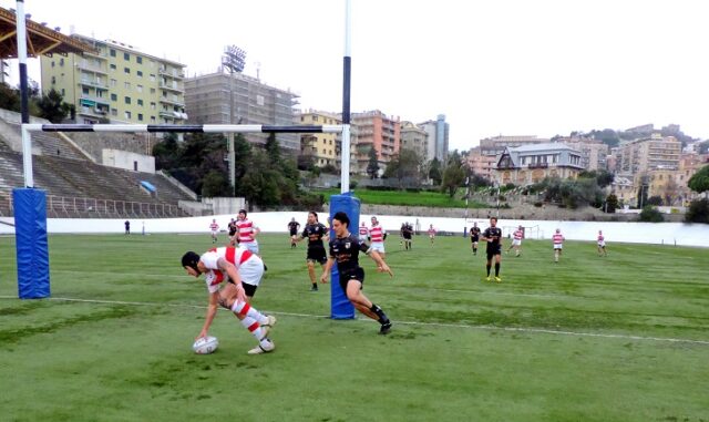rugby rugby