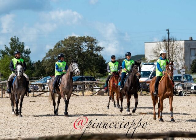 Sport equestri Sport equestri