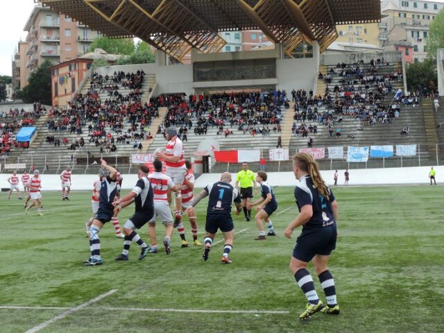rugby rugby