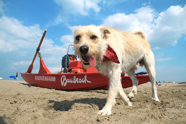 Baubeach Baubeach