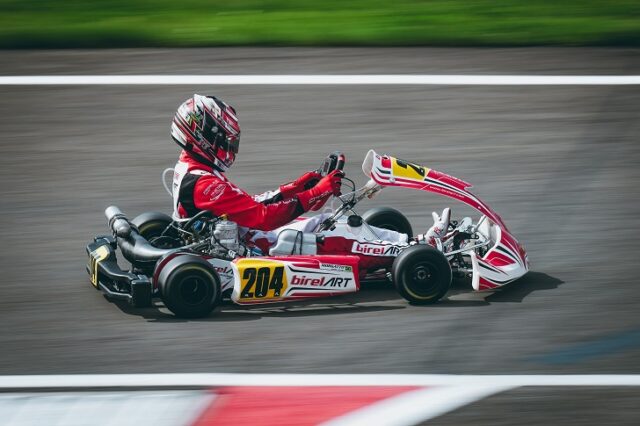 Birel Art