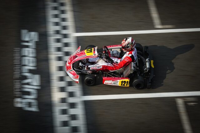 Birel Art Birel Art