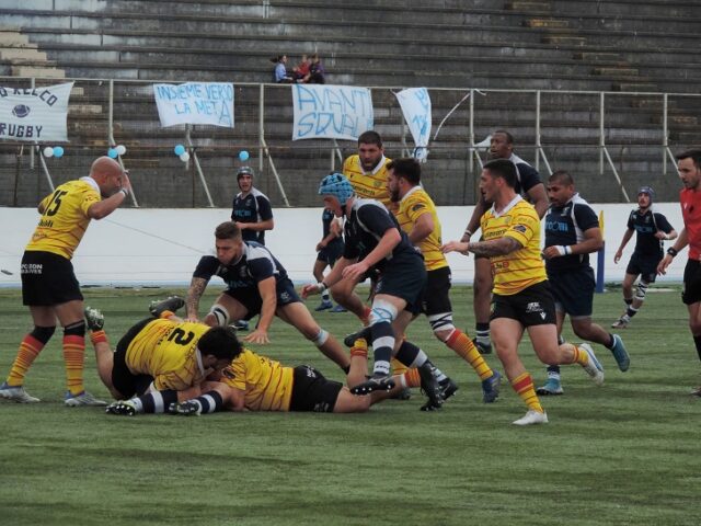 Rugby Rugby