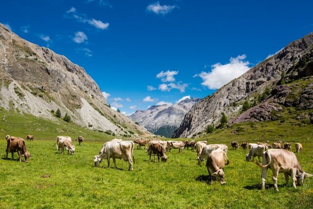 Valtellina Valtellina