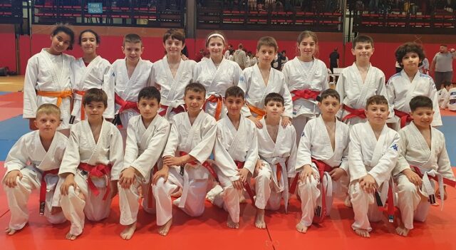 judo judo