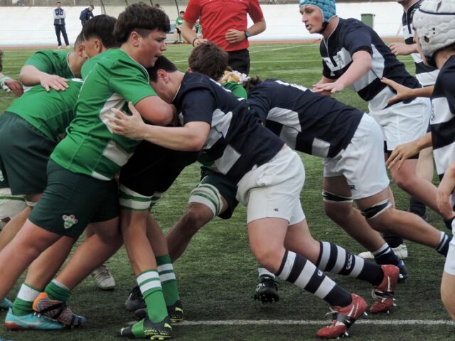 rugby