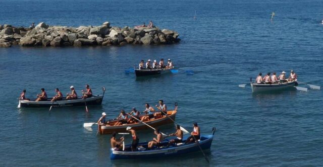 gozzi_foce(0)