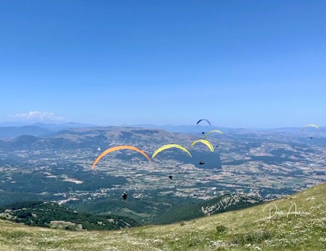 Parapendio Parapendio