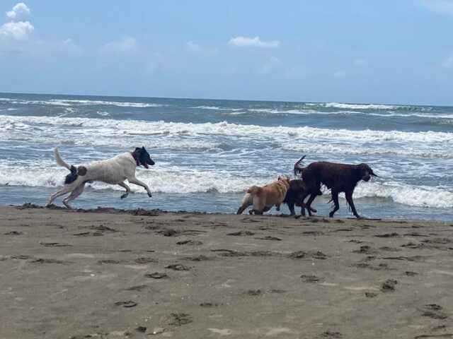 Baubeach Baubeach