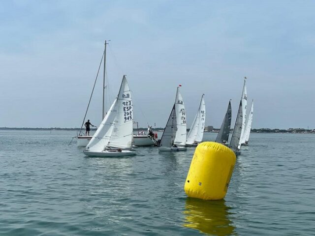 Vela Vela