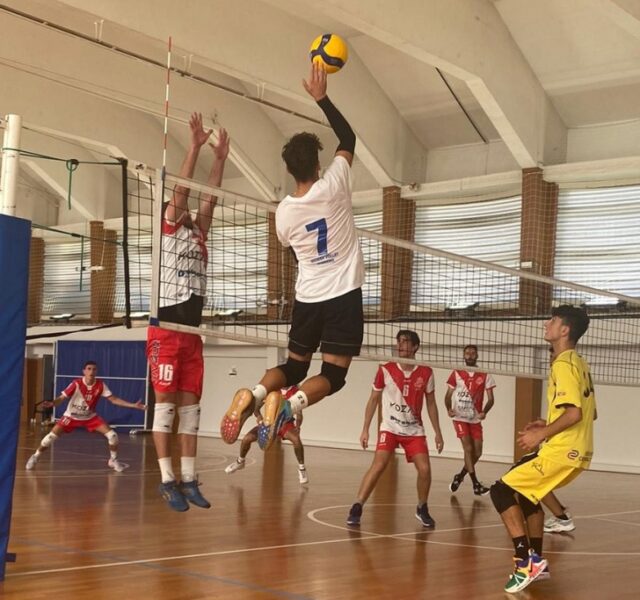 Grafiche Amadeo Riviera Volley Grafiche Amadeo Riviera Volley