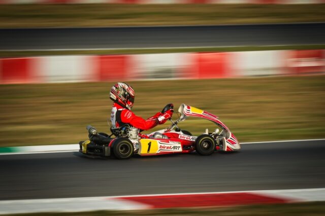 Birel Art Birel Art