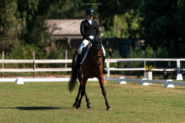 Dressage Dressage