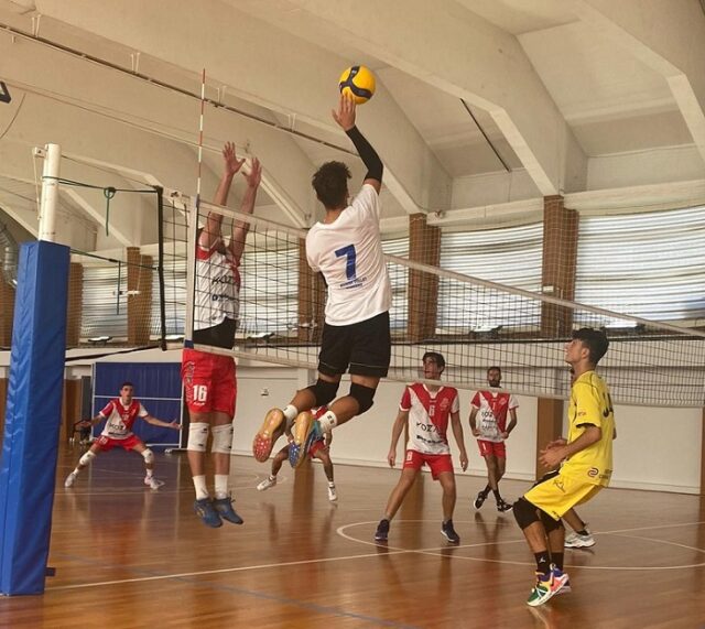 Grafiche Amedeo Riviera Volley Grafiche Amedeo Riviera Volley