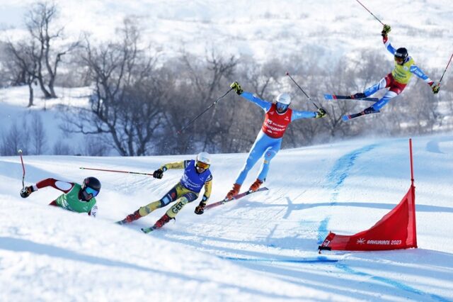 Skicross Skicross