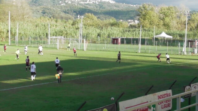 Ceparana