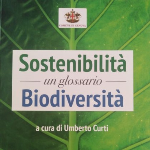 Umberto Curti Umberto Curti