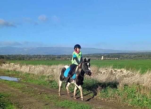 Endurance Pony Endurance Pony