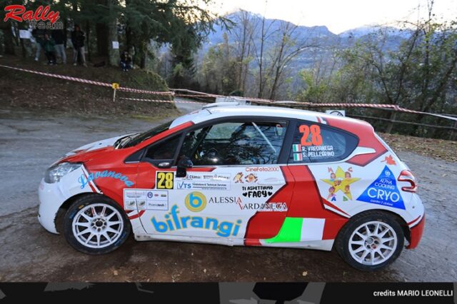 Rally Team Rally Team
