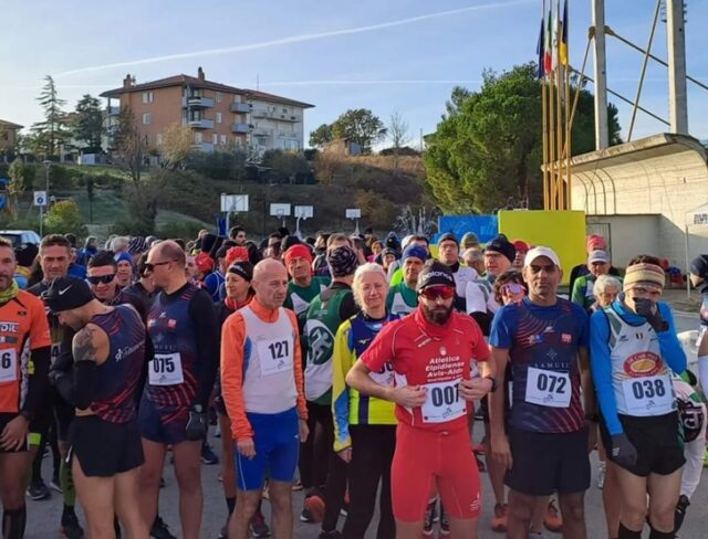 Veregra Run Veregra Run