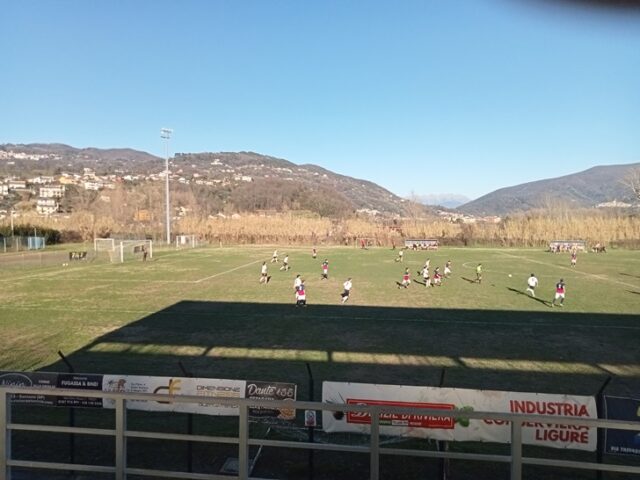 Ceparana Ceparana