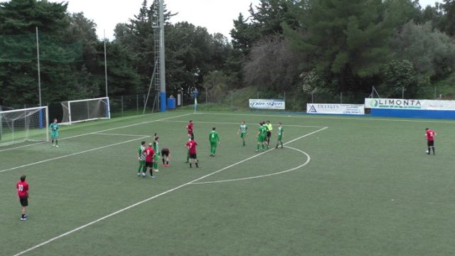 Ceparana Ceparana