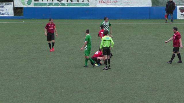 Ceparana Ceparana