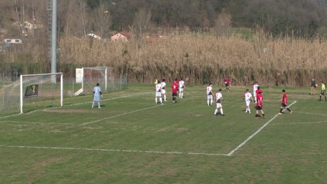 Ceparana Ceparana