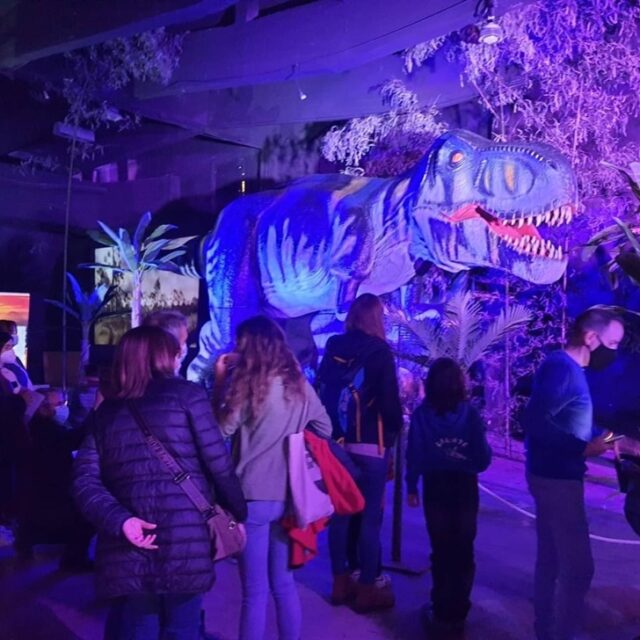DINOSAURS WORLD DINOSAURS WORLD