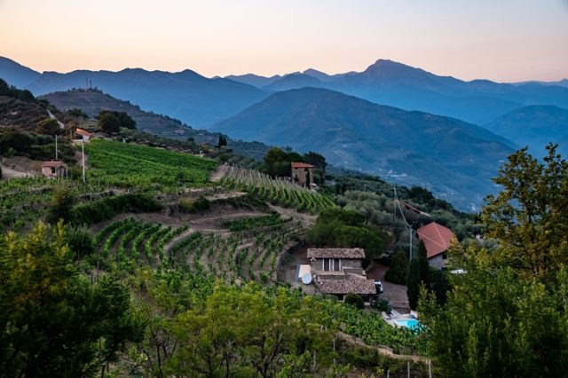 Trofeo Miglior Sommelier del Rossese di Dolceacqua Trofeo Miglior Sommelier del Rossese di Dolceacqua