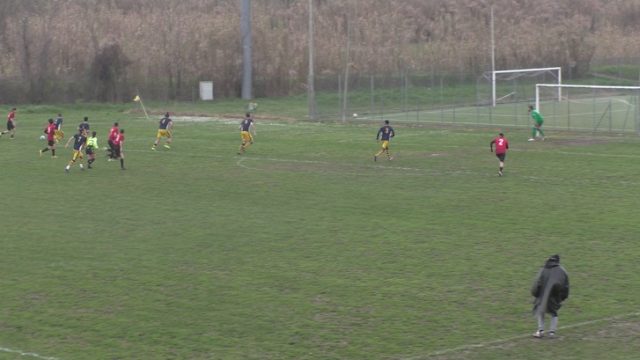 Ceparana Ceparana