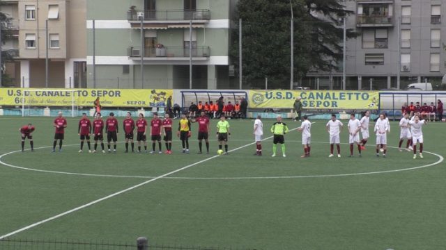 Ceparana Ceparana