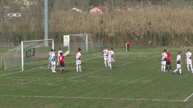 Ceparana Ceparana