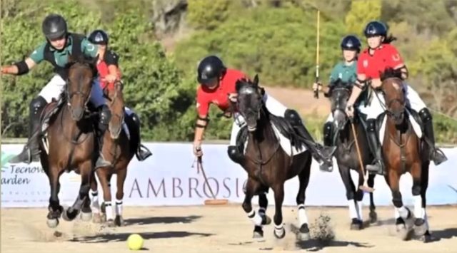 polo polo