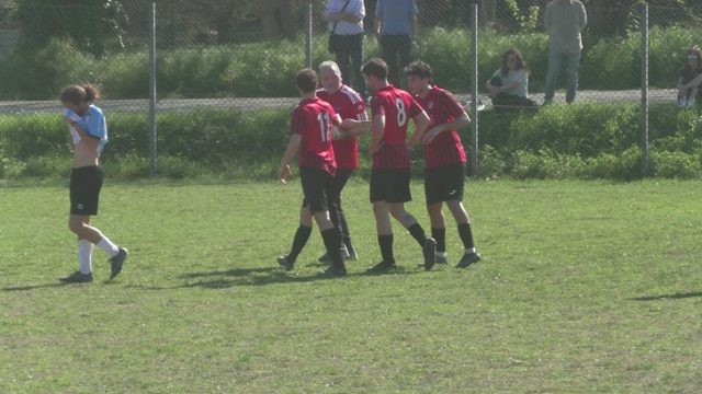 Ceparana Ceparana