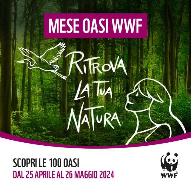 WWF WWF