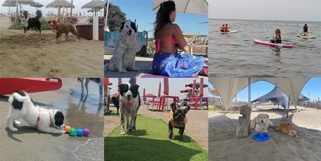 Baubeach Baubeach