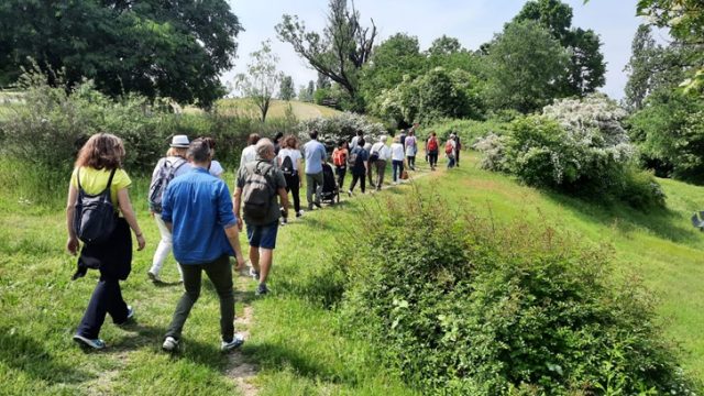 Festival del Social Walking Festival del Social Walking