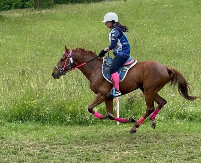 Endurance Endurance