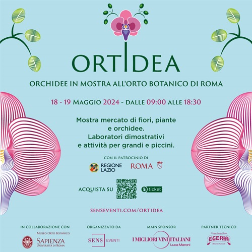 Ortidea Ortidea